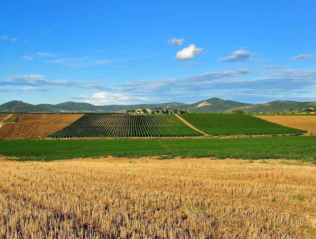 Tenuta Badia '99 Paciano Esterno foto